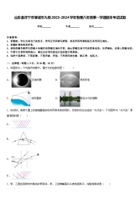 山东省济宁市邹城市九级2023-2024学年物理八年级第一学期期末考试试题含答案