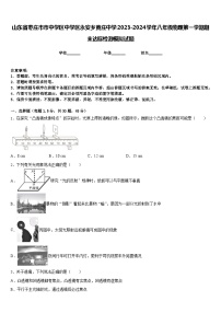 山东省枣庄市市中学区中学区永安乡黄庄中学2023-2024学年八年级物理第一学期期末达标检测模拟试题含答案