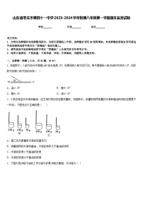 山东省枣庄市第四十一中学2023-2024学年物理八年级第一学期期末监测试题含答案