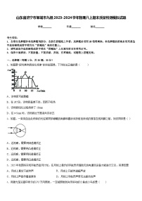 山东省济宁市邹城市九级2023-2024学年物理八上期末质量检测模拟试题含答案