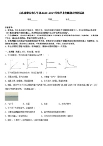 山东省泰安市东平县2023-2024学年八上物理期末预测试题含答案