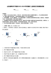 山东省泰安市宁阳县2023-2024学年物理八上期末复习检测模拟试题含答案