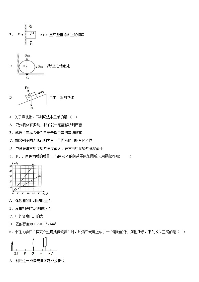 山东省武城县2023-2024学年八上物理期末复习检测试题含答案第2页