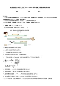 山东省枣庄市台儿庄区2023-2024学年物理八上期末经典试题含答案