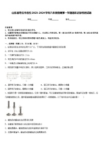 山东省枣庄市名校2023-2024学年八年级物理第一学期期末达标检测试题含答案