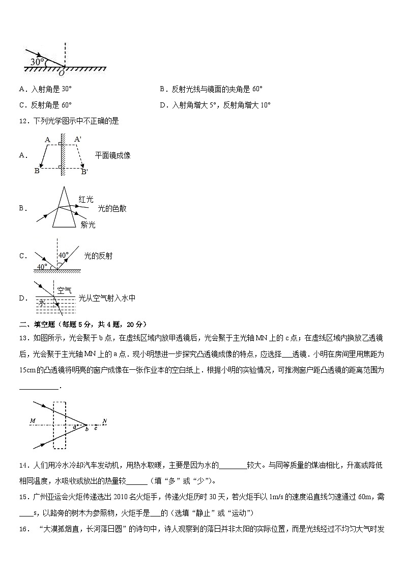 山东省枣庄市薛城区2023-2024学年物理八上期末复习检测试题含答案第3页
