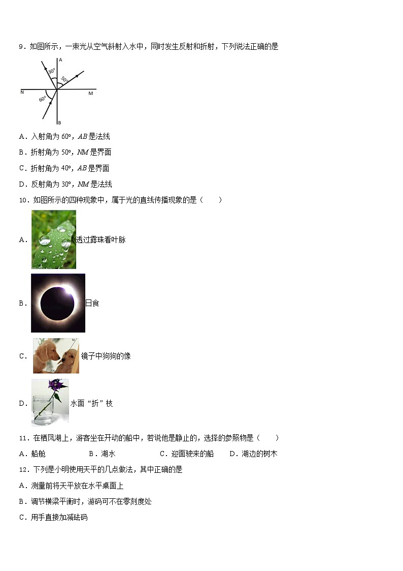 山东省枣庄树人中学2023-2024学年物理八年级第一学期期末预测试题含答案第3页