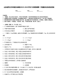 山东省枣庄市峄城区底阁镇2023-2024学年八年级物理第一学期期末达标测试试题含答案