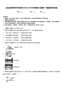 山东省滨州市邹平双语学校2023-2024学年物理八年级第一学期期末联考试题含答案