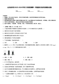 山东省菏泽2023-2024学年八年级物理第一学期期末质量检测模拟试题含答案