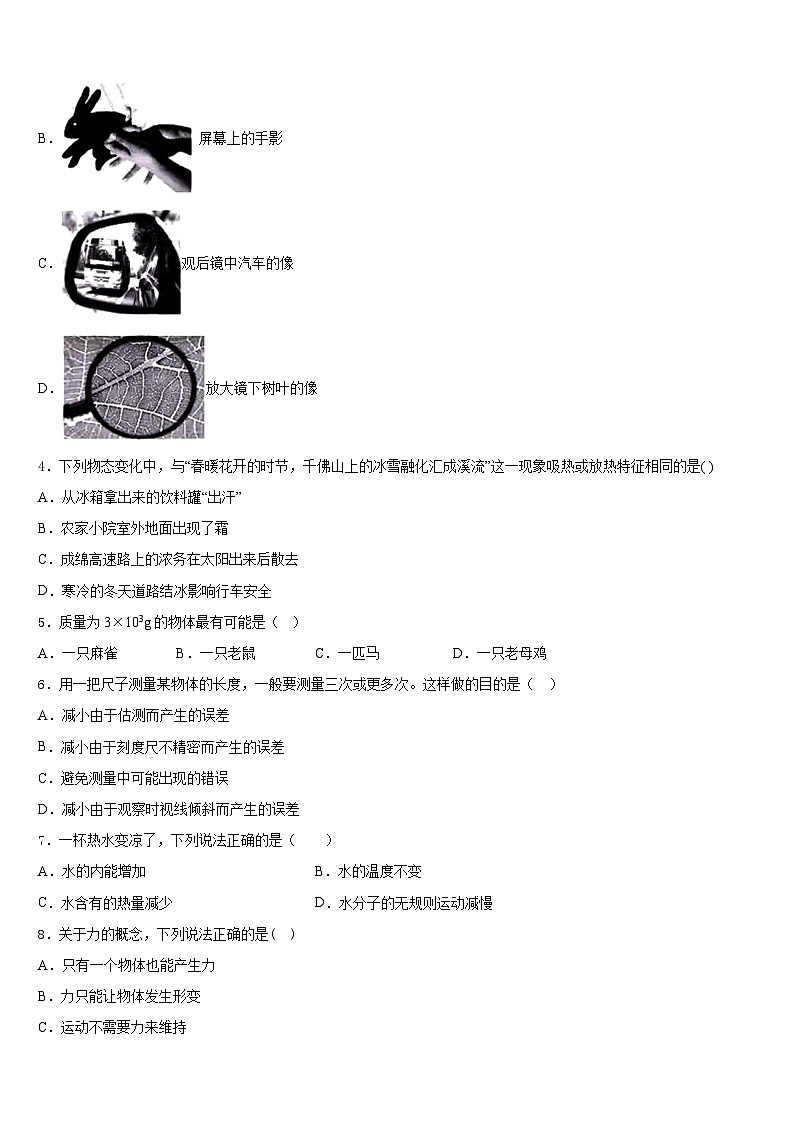 山东省菏泽定陶县联考2023-2024学年八年级物理第一学期期末调研模拟试题含答案第2页