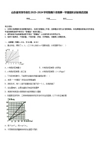 山东省菏泽市名校2023-2024学年物理八年级第一学期期末达标测试试题含答案