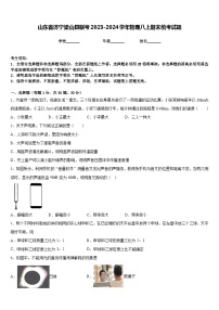 山东省济宁梁山县联考2023-2024学年物理八上期末统考试题含答案