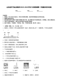 山东省济宁鱼台县联考2023-2024学年八年级物理第一学期期末统考试题含答案