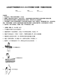 山东省济宁邹城县联考2023-2024学年物理八年级第一学期期末预测试题含答案