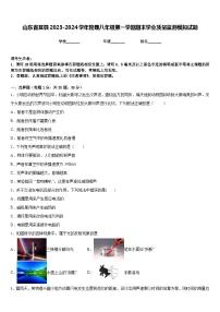 山东省莒县2023-2024学年物理八年级第一学期期末学业质量监测模拟试题含答案