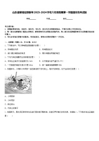 山东省聊城冠县联考2023-2024学年八年级物理第一学期期末统考试题含答案