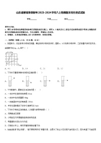 山东省聊城莘县联考2023-2024学年八上物理期末综合测试试题含答案