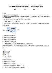 山东省潍坊市辖县2023-2024学年八上物理期末达标检测试题含答案