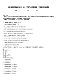 山东省聊城市城区2023-2024学年八年级物理第一学期期末经典试题含答案