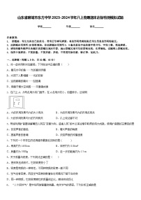 山东省聊城市东方中学2023-2024学年八上物理期末达标检测模拟试题含答案