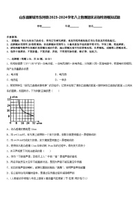 山东省聊城市东阿县2023-2024学年八上物理期末达标检测模拟试题含答案