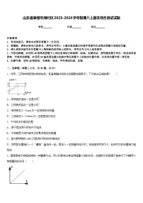 山东省淄博市周村区2023-2024学年物理八上期末综合测试试题含答案