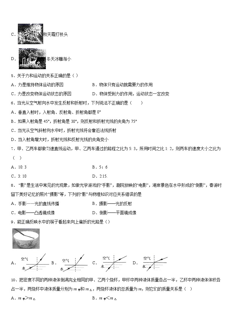 山东省蒙阴县2023-2024学年物理八年级第一学期期末考试模拟试题含答案02