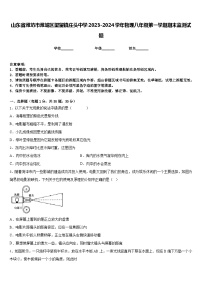 山东省潍坊市潍城区望留镇庄头中学2023-2024学年物理八年级第一学期期末监测试题含答案