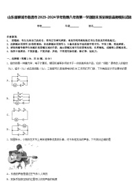 山东省聊城市临清市2023-2024学年物理八年级第一学期期末质量跟踪监视模拟试题含答案