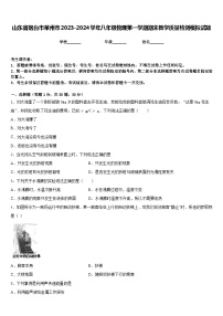 山东省烟台市莱州市2023-2024学年八年级物理第一学期期末教学质量检测模拟试题含答案