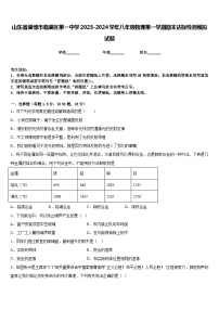 山东省淄博市临淄区第一中学2023-2024学年八年级物理第一学期期末达标检测模拟试题含答案