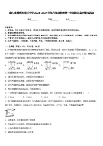 山东省滕州市张汪中学2023-2024学年八年级物理第一学期期末监测模拟试题含答案