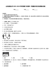 山东省烟台市2023-2024学年物理八年级第一学期期末综合测试模拟试题含答案