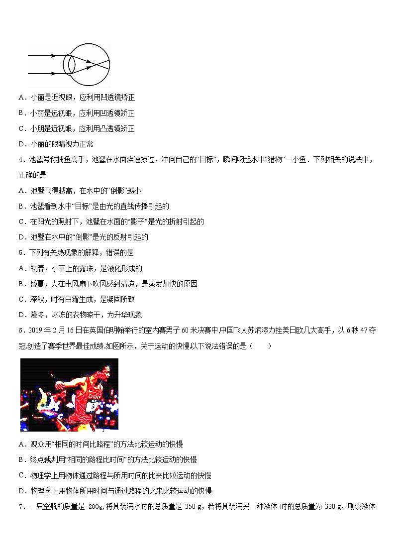山东省滕州市张汪中学2023-2024学年八年级物理第一学期期末教学质量检测模拟试题含答案第2页