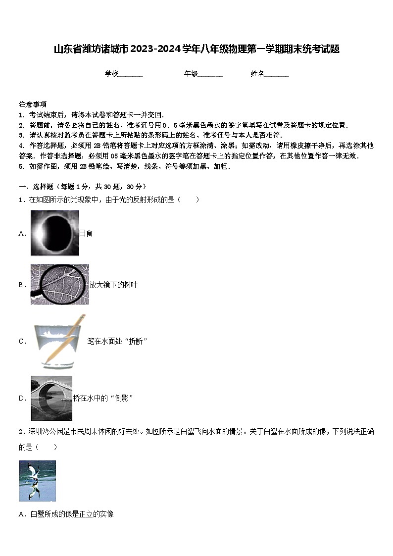 山东省潍坊诸城市2023-2024学年八年级物理第一学期期末统考试题含答案第1页