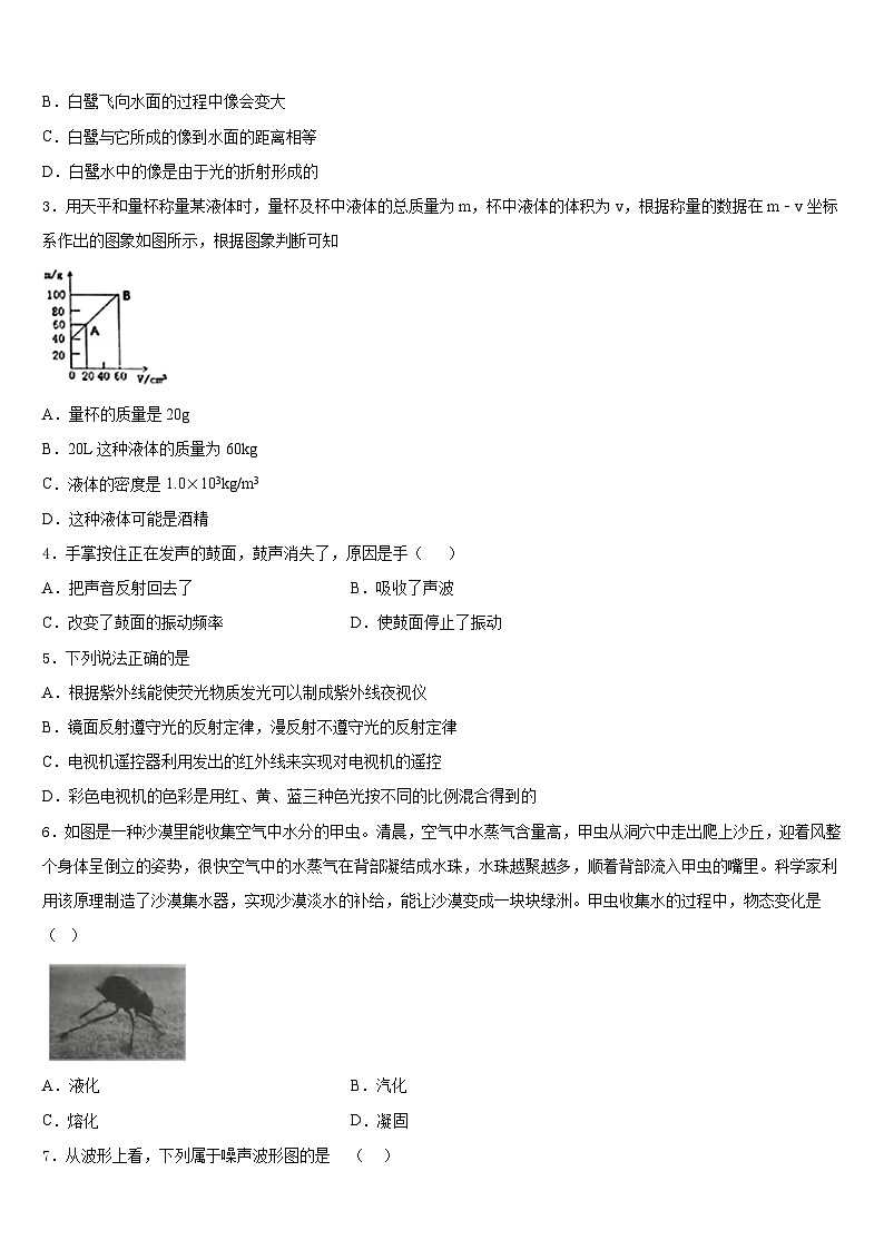 山东省潍坊诸城市2023-2024学年八年级物理第一学期期末统考试题含答案第2页