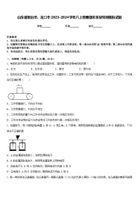 山东省烟台市、龙口市2023-2024学年八上物理期末质量检测模拟试题含答案