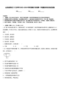 山东省荣成三十五中学2023-2024学年物理八年级第一学期期末综合测试试题含答案