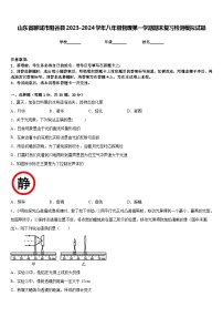 山东省聊城市阳谷县2023-2024学年八年级物理第一学期期末复习检测模拟试题含答案