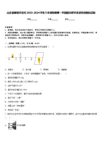 山东省聊城市名校2023-2024学年八年级物理第一学期期末教学质量检测模拟试题含答案