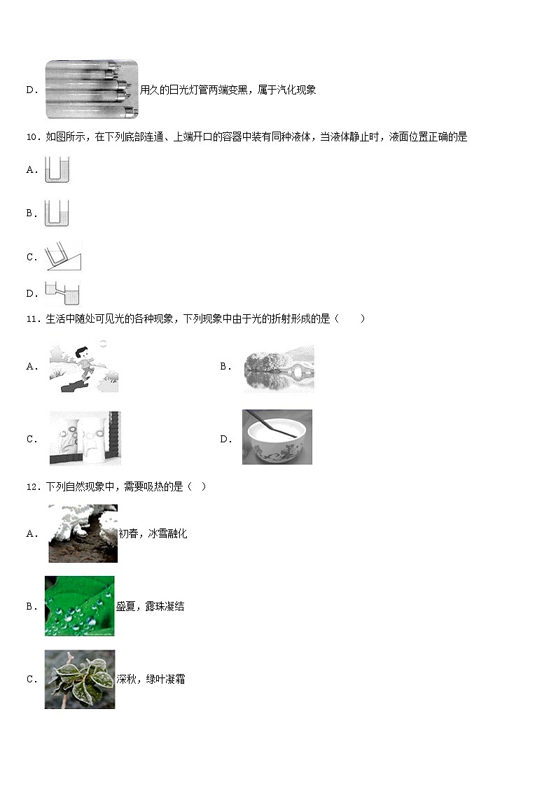 山东省潍坊高新技术产业开发区2023-2024学年物理八年级第一学期期末复习检测模拟试题含答案第3页