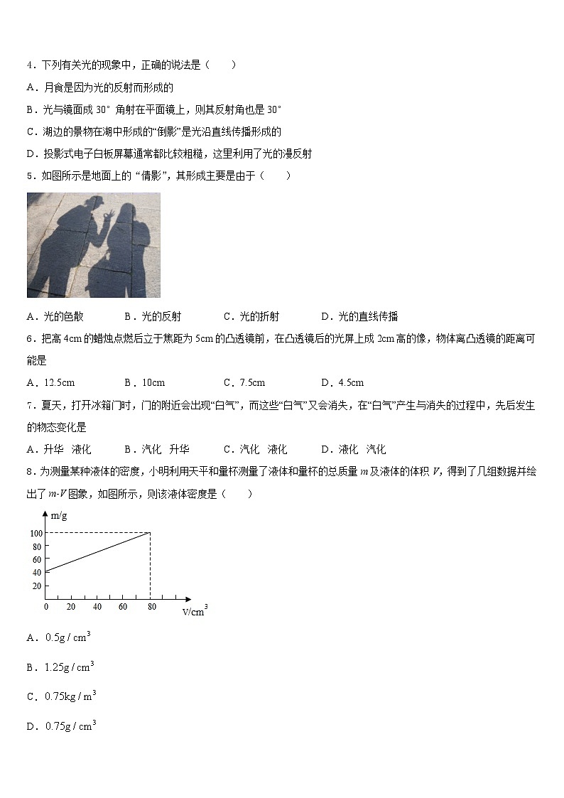 山东聊城市阳谷实验中学2023-2024学年物理八年级第一学期期末统考模拟试题含答案02