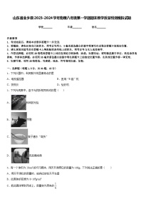 山东省金乡县2023-2024学年物理八年级第一学期期末教学质量检测模拟试题含答案