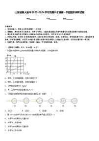 山东省青大附中2023-2024学年物理八年级第一学期期末调研试题含答案