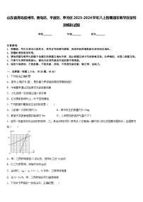 山东省青岛胶州市、黄岛区、平度区、李沧区2023-2024学年八上物理期末教学质量检测模拟试题含答案