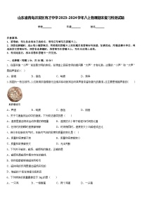 山东省青岛开发区育才中学2023-2024学年八上物理期末复习检测试题含答案