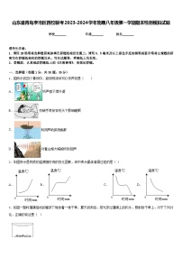 山东省青岛李沧区四校联考2023-2024学年物理八年级第一学期期末检测模拟试题含答案