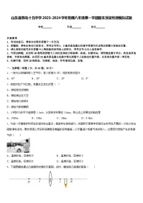 山东省青岛十五中学2023-2024学年物理八年级第一学期期末质量检测模拟试题含答案