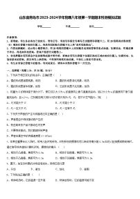 山东省青岛市2023-2024学年物理八年级第一学期期末检测模拟试题含答案